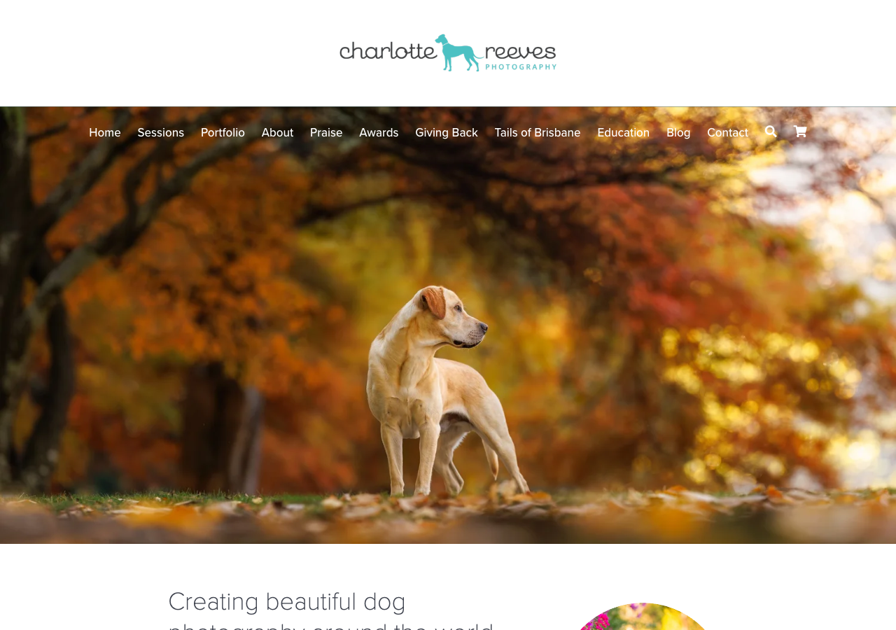 Примеры работ Charlotte Reeves