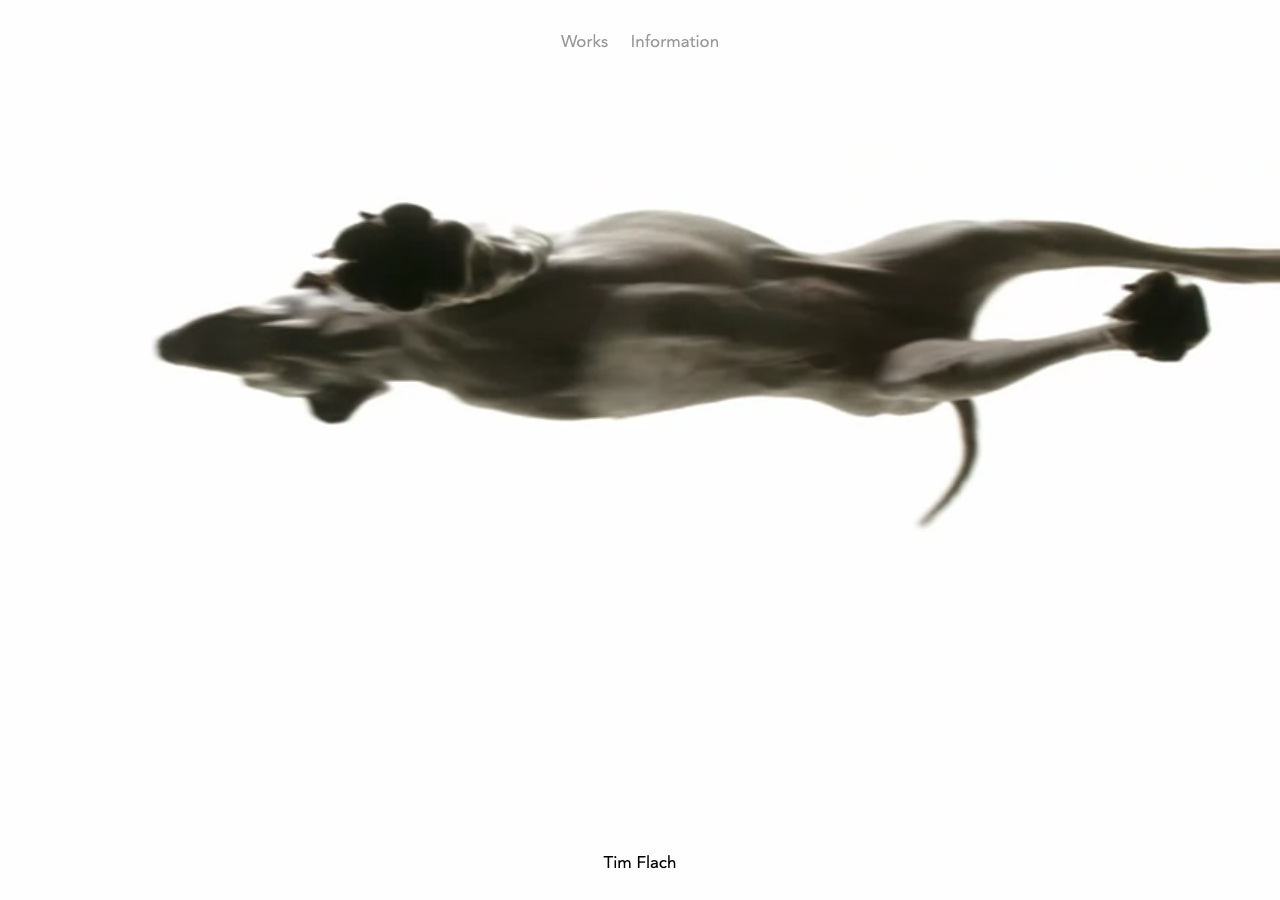 Примеры работ Tim Flach